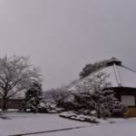 Snow in Ureshino